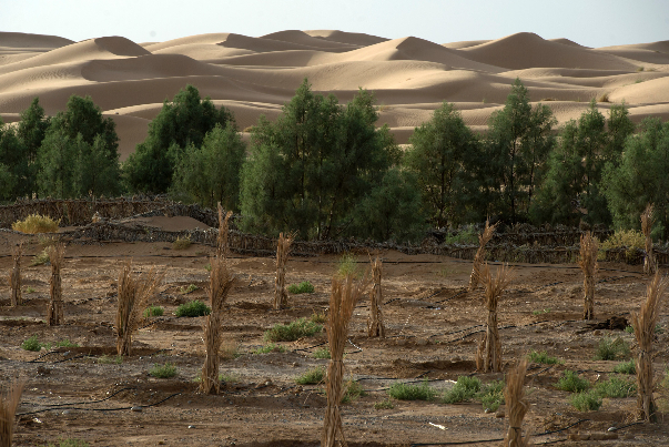  بحران بیابان‌زایی بیخ‌ گوش پایتخت/‌ فرونشست۳۷ سانتی در تهران 